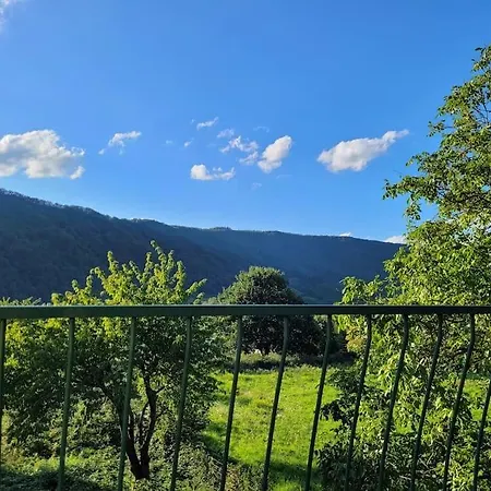 Willi'S Moselschloesschen Villa Neumagen-Dhron Buitenkant foto
