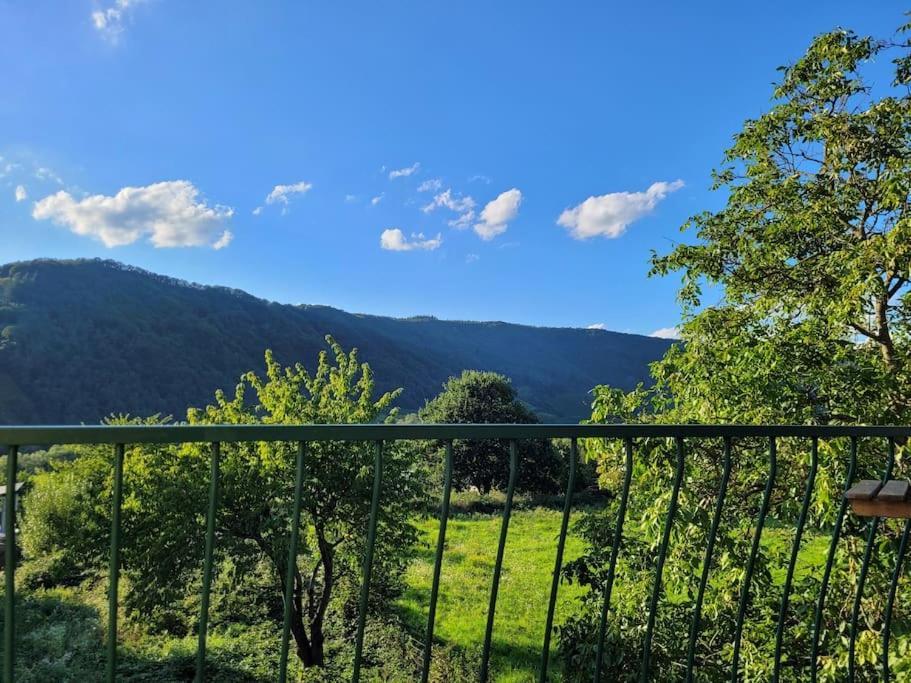 Ferienhaus Willi's Moselschloesschen *